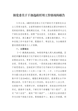 镇党委关于干部选拔任用工作情况的报告