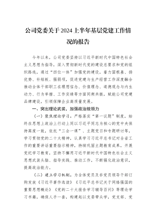 公司党委关于2024上半年基层党建工作情况的报告