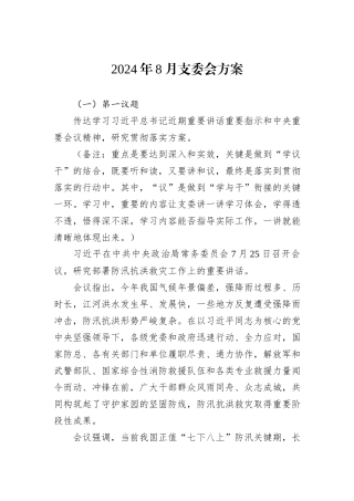 2024年8月支委会方案