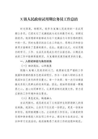 X镇人民政府试用期公务员工作总结