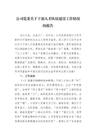 公司党委关于干部人才队伍建设工作情况的报告