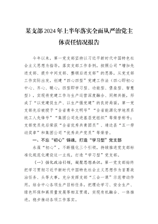 某支部2024年上半年落实全面从严治党主体责任情况报告