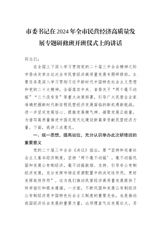 市委书记在2024年全市民营经济高质量发展专题研修班开班仪式上的讲话