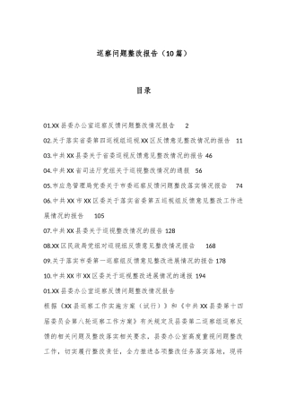 （10篇）巡察问题整改报告