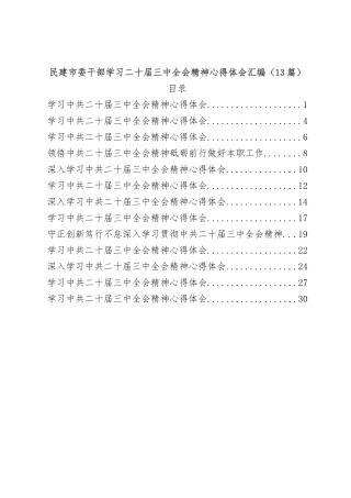 （13篇）民建市委干部学习二十届三中全会精神心得体会汇编