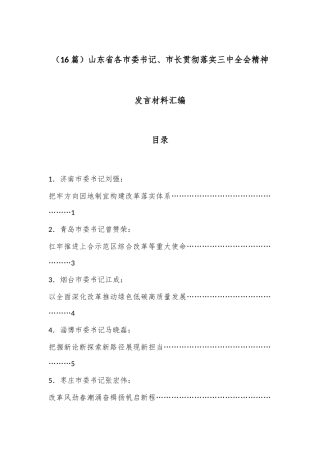 （16篇）山东省各市委书记、市长贯彻落实三中全会精神发言材料汇编