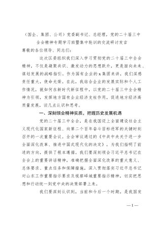 （国企、集团、公司）党委副书记、总经理，党的二十届三中全会精神专题学习班暨集中轮训的交流研讨发言