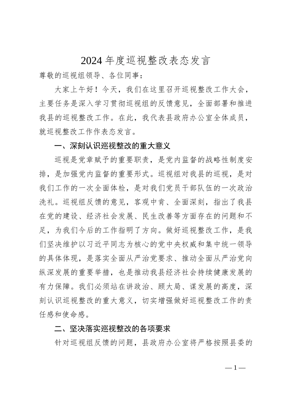2024年度巡视整改表态发言_第1页