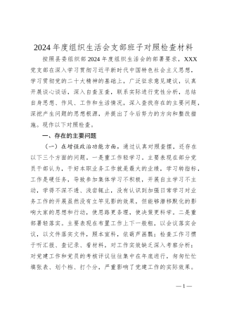 2024年度组织生活会支部班子 对照检查材料