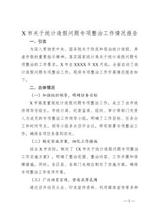 X市关于统计造假问题专项整治工作情况报告