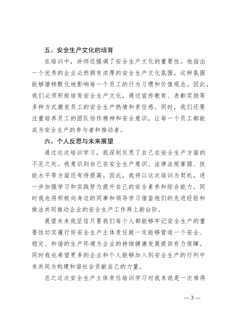 参加安全生产主体责任培训学习心得体会_第3页