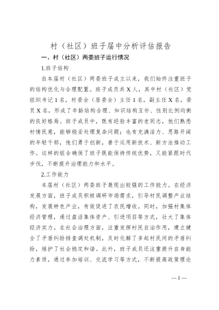 村（社区）班子届中分析评估报告