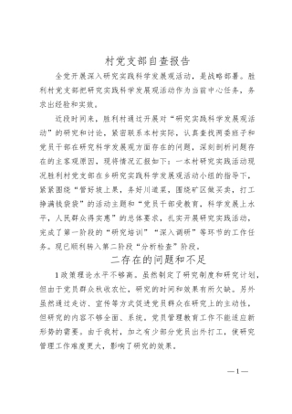 村党支部自查报告