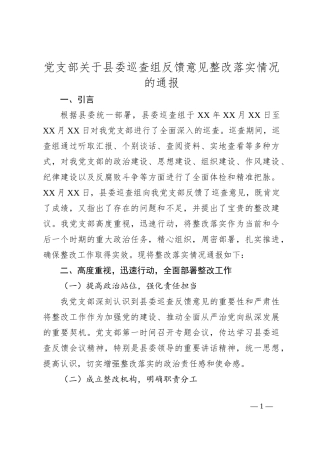 党支部关于县委巡查组反馈意见整改落实情况的通报