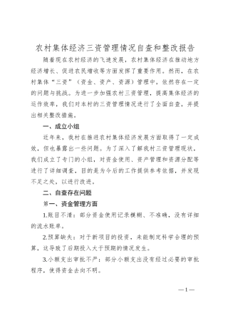 农村集体经济三资管理情况自查和整改报告