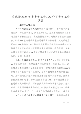 农水局2024年上半年工作总结和下半年工作思路