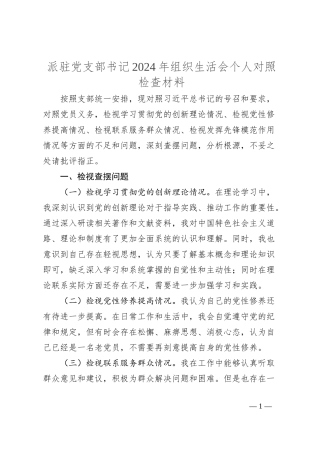 派驻党支部书记2024年组织生活会个人对照检查材料