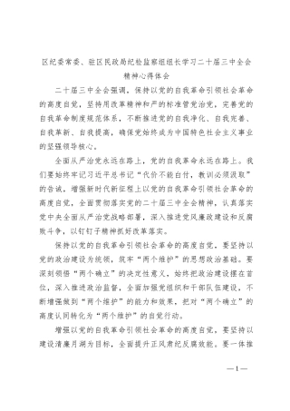 区纪委常委、驻区民政局纪检监察组组长学习二十届三中全会精神心得体会
