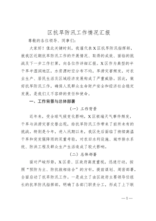 区抗旱防汛工作情况汇报