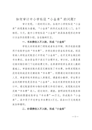 如何审计中小学私设“小金库”的问题？