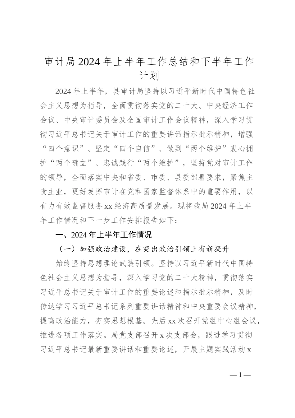 审计局2024年上半年工作总结和下半年工作计划_第1页
