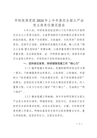 市财政局党组2024年上半年落实全面从严治党主体责任情况报告