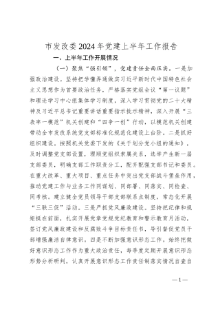 市发改委2024年党建上半年工作报告