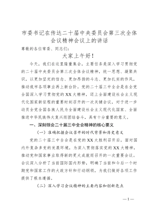 市委书记在传达二十届中央委员会第三次全体会议精神会议上的讲话