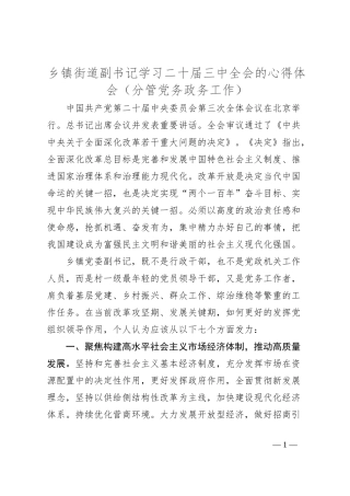 乡镇街道副书记学习二十届三中全会的心得体会（分管党务政务工作）