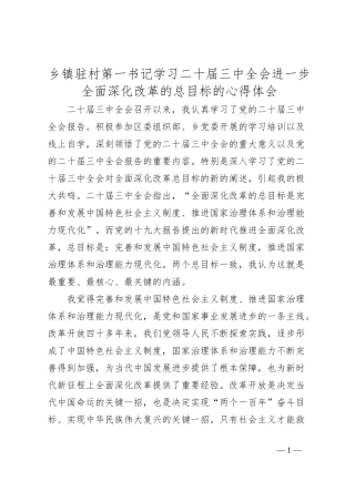 乡镇驻村第一书记学习二十届三中全会进一步全面深化改革的总目标的心得体会