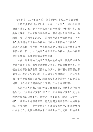 心得体会：从“重大关系”领会党的二十届三中全会精神