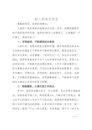 新入职表态发言