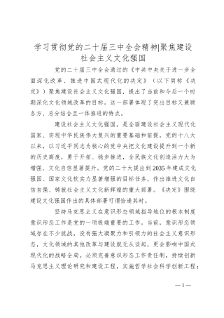 学习贯彻党的二十届三中全会精神：聚焦建设社会主义文化强国