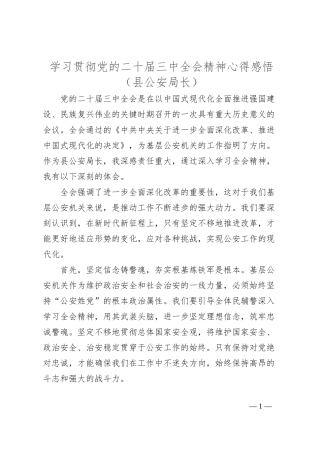 学习贯彻党的二十届三中全会精神心得感悟（县公安局长）