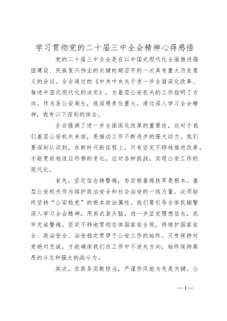 学习贯彻党的二十届三中全会精神心得感悟