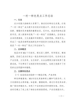 一村一特色亮点工作总结