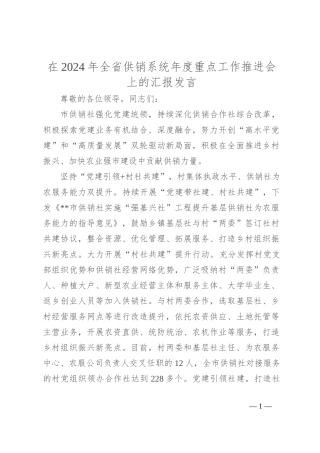 在2024年全省供销系统年度重点工作推进会上的汇报发言