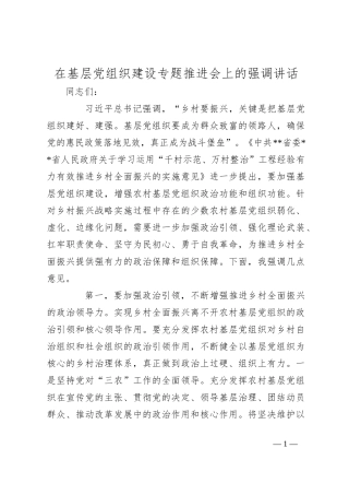 在基层党组织建设专题推进会上的强调讲话