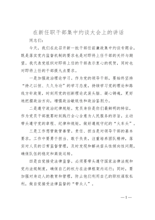 在新任职干部集中约谈大会上的讲话