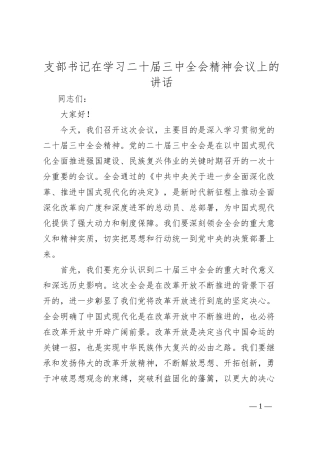 支部书记在学习二十届三中全会精神会议上的讲话