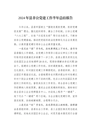 2024年县非公党建工作半年总结报告
