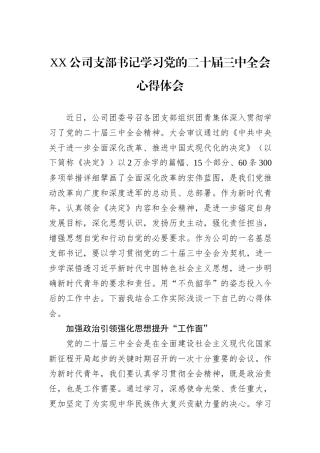 XX公司支部书记学习党的二十届三中全会心得体会
