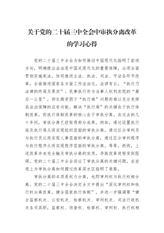 关于党的二十届三中全会中审执分离改革的学习心得