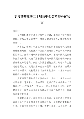 学习贯彻党的二十届三中全会精神研讨发言