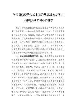 学习贯彻整治形式主义为基层减负专项工作机制会议精神心得体会