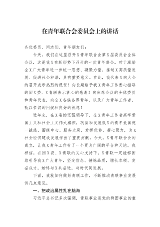 在青年联合会委员会上的讲话