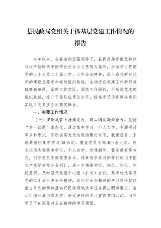 县民政局党组关于抓基层党建工作情况的报告