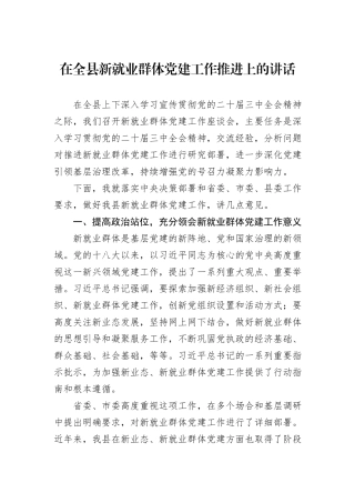 在全县新就业群体党建工作推进上的讲话