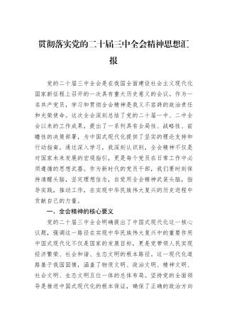 贯彻落实党的二十届三中全会精神思想汇报