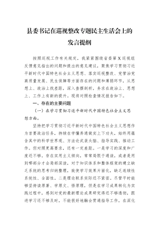 县委书记在巡视整改专题民主生活会上的发言提纲